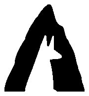 logo-owl